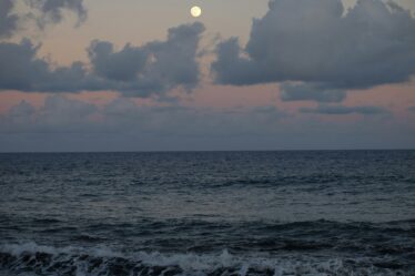 Rüyada Adana Dürüm Görmek - Gece Yarısı Gelen Lezzetli Mesajlar görseli 3