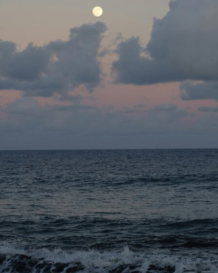 Rüyada Adana Dürüm Görmek - Gece Yarısı Gelen Lezzetli Mesajlar görseli 3