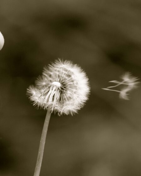 Rüyada Gelinlik Görmek - Hayatınızdaki Dönüm Noktalarını Keşfedin görseli 3