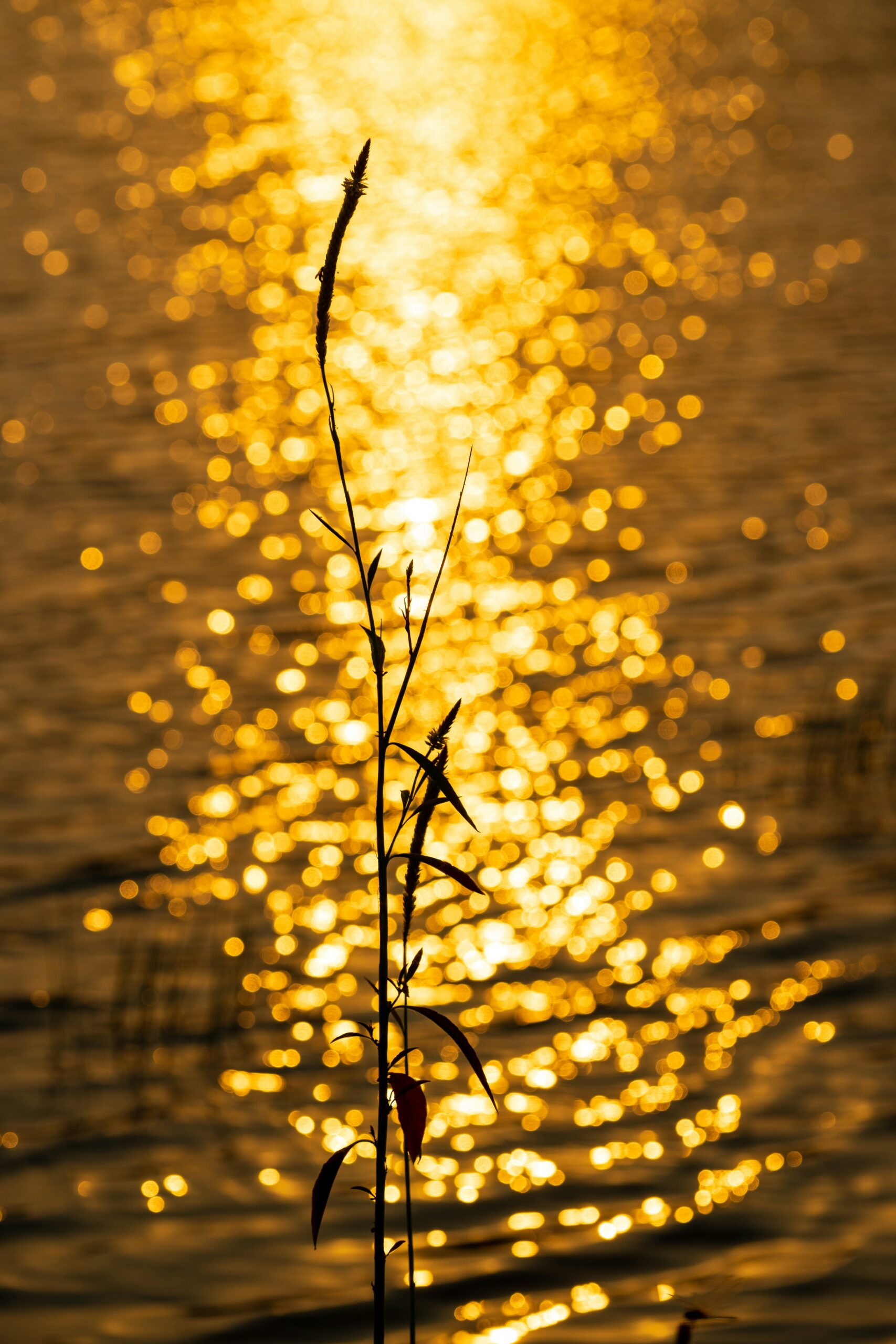 Rüyada Altın Görmek görseli 1