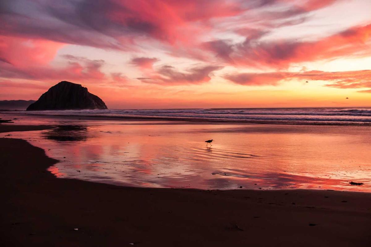 Rüyada Kan Görmek görseli 1