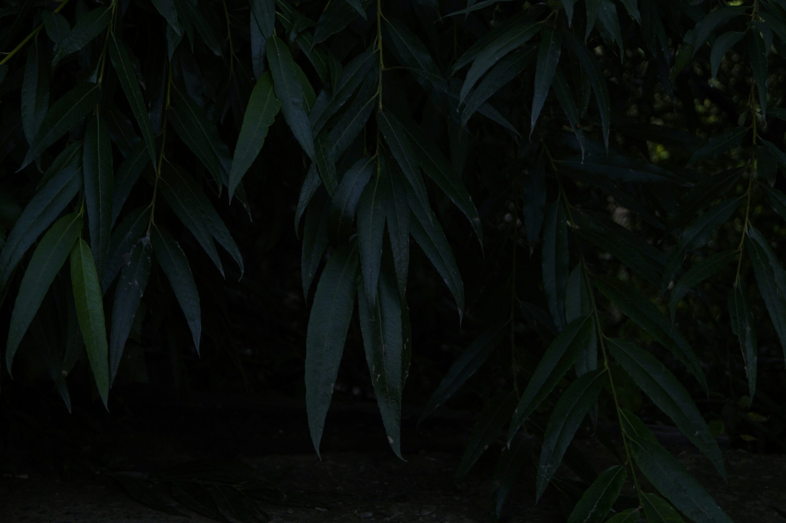 Rüyada Hamile Olduğunu Görmek görseli 3