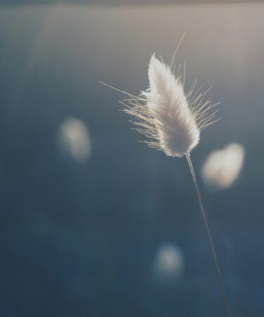 Rüyada Gelinlik Görmek - Hayatınızdaki Dönüşümlerin Simgesi görseli 3