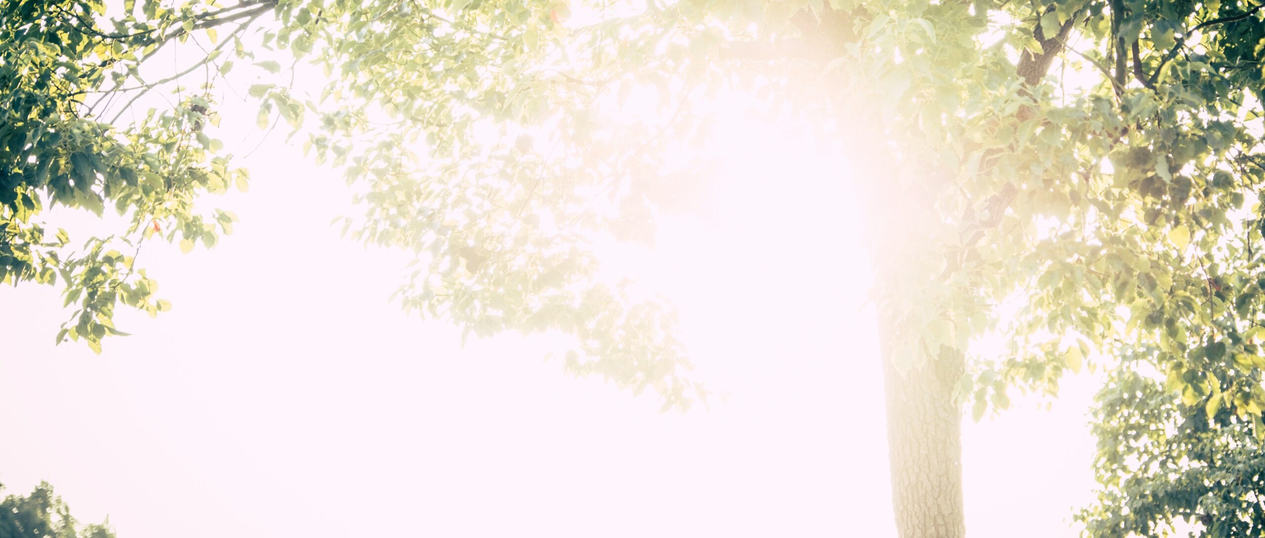 Rüyada Hamile Olduğunu Görmek görseli 1